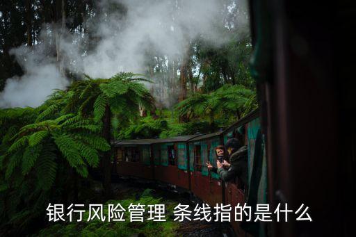  銀行風(fēng)險管理 條線指的是什么
