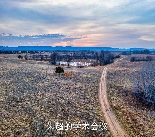 朱超的學術會議