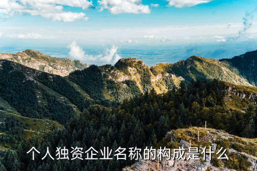 個(gè)人獨(dú)資企業(yè)名稱(chēng)的構(gòu)成是什么