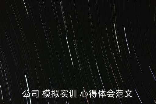 公司 模擬實(shí)訓(xùn) 心得體會范文