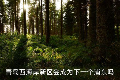 青島西海岸新區(qū)會(huì)成為下一個(gè)浦東嗎