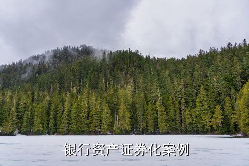  銀行資產證券化案例