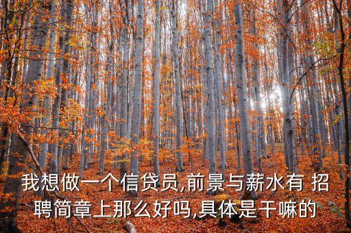 我想做一個(gè)信貸員,前景與薪水有 招聘簡章上那么好嗎,具體是干嘛的