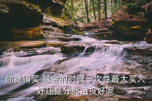 你覺得買 基金的時(shí)候一次性最大買入好還是分批定投好呢