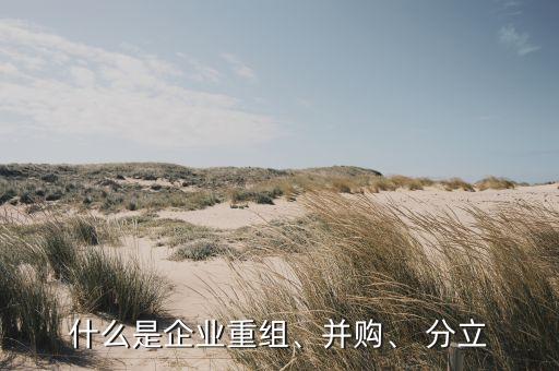 什么是企業(yè)重組、并購、 分立