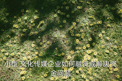 小型 文化傳媒企業(yè)如何融資或解決資金問(wèn)題