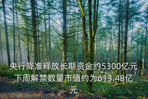 央行降準釋放長期資金約5300億元下周解禁數量市值約為613.48億元