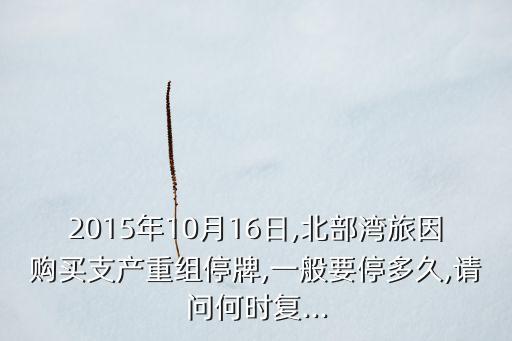 2015年10月16日,北部灣旅因購買支產(chǎn)重組停牌,一般要停多久,請問何時(shí)復(fù)...