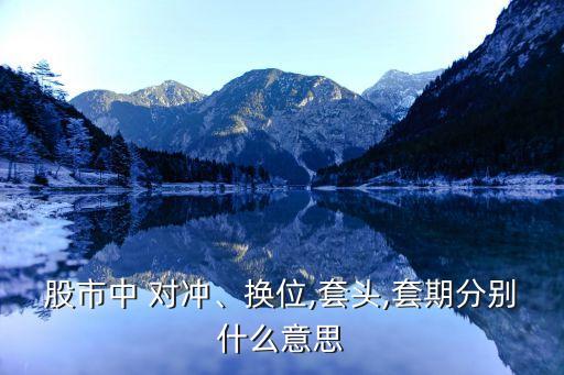 股市中 對沖、換位,套頭,套期分別什么意思