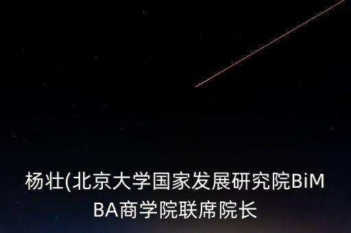 楊壯(北京大學國家發(fā)展研究院BiMBA商學院聯席院長