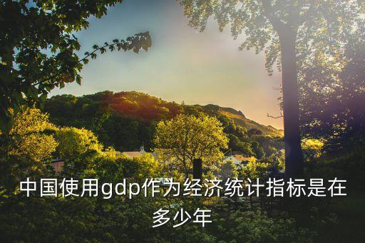 中國使用gdp作為經(jīng)濟(jì)統(tǒng)計指標(biāo)是在多少年