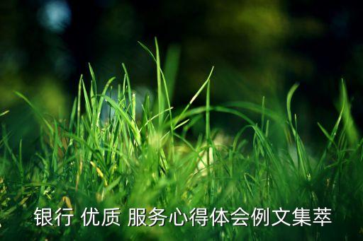 銀行 優(yōu)質(zhì) 服務心得體會例文集萃