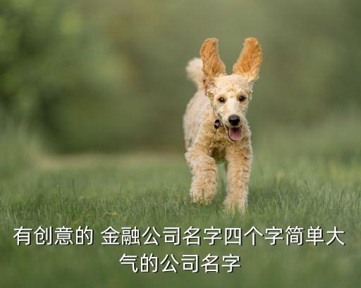 有創(chuàng)意的 金融公司名字四個(gè)字簡單大氣的公司名字
