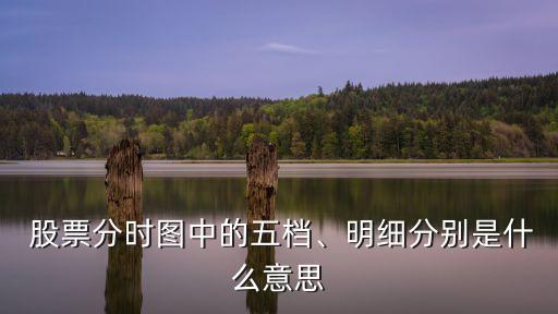  股票分時(shí)圖中的五檔、明細(xì)分別是什么意思
