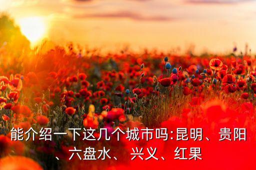 能介紹一下這幾個城市嗎:昆明、貴陽、六盤水、 興義、紅果