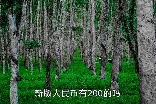 中國(guó)新鈔
