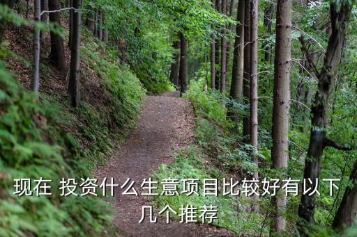 現(xiàn)在 投資什么生意項目比較好有以下幾個推薦