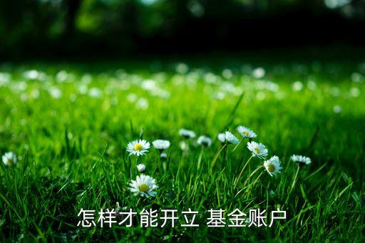 怎樣才能開(kāi)立 基金賬戶
