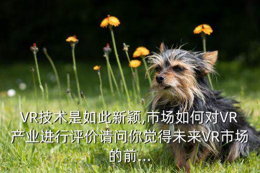 VR技術(shù)是如此新穎,市場如何對VR產(chǎn)業(yè)進(jìn)行評價(jià)請問你覺得未來VR市場的前...