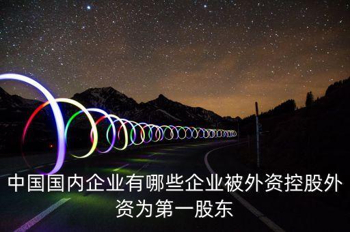 中國國內企業(yè)有哪些企業(yè)被外資控股外資為第一股東