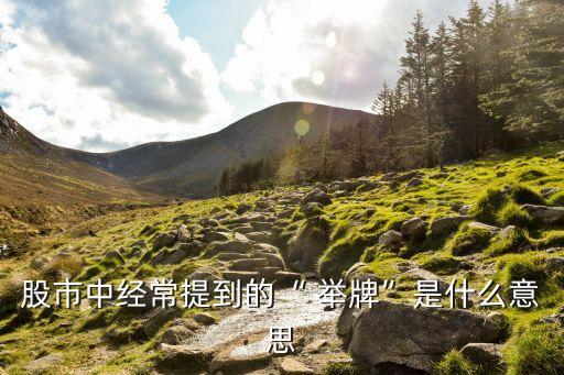 股市中經常提到的“ 舉牌”是什么意思