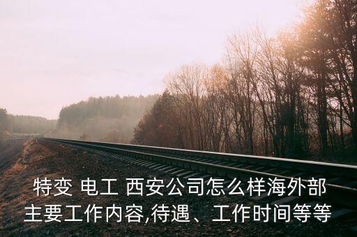  特變 電工 西安公司怎么樣海外部主要工作內(nèi)容,待遇、工作時(shí)間等等