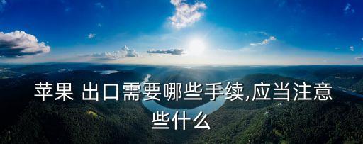 中國(guó)蘋果出口