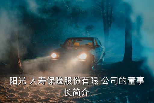 陽光 人壽保險股份有限 公司的董事長簡介