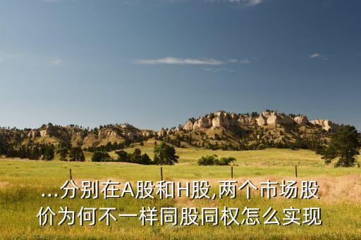 ...分別在A股和H股,兩個市場股價為何不一樣同股同權怎么實現(xiàn)
