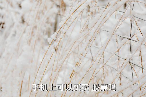手機(jī)買股票是什么時(shí)候開始的,中國什么時(shí)候開始可以買股票