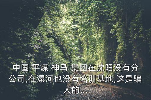 中國(guó) 平煤 神馬 集團(tuán)在沈陽(yáng)沒(méi)有分公司,在漯河也沒(méi)有培訓(xùn)基地,這是騙人的...