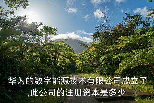  華為的數(shù)字能源技術有限公司成立了,此公司的注冊資本是多少