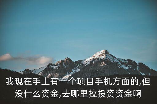 我現(xiàn)在手上有一個項(xiàng)目手機(jī)方面的,但沒什么資金,去哪里拉投資資金啊