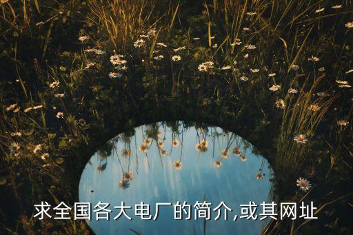 求全國各大電廠的簡介,或其網址