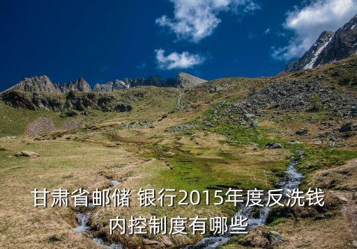 甘肅省郵儲 銀行2015年度反洗錢內控制度有哪些