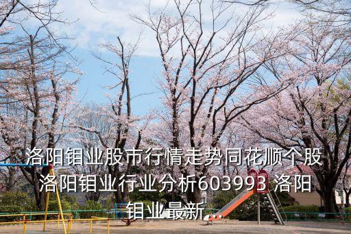  洛陽(yáng)鉬業(yè)股市行情走勢(shì)同花順個(gè)股 洛陽(yáng)鉬業(yè)行業(yè)分析603993 洛陽(yáng)鉬業(yè)最新...