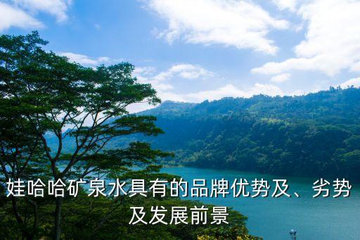 娃哈哈礦泉水具有的品牌優(yōu)勢及、劣勢及發(fā)展前景
