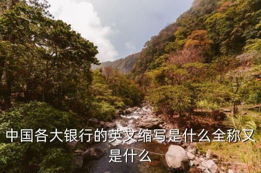 中國(guó)各大銀行的英文縮寫是什么全稱又是什么