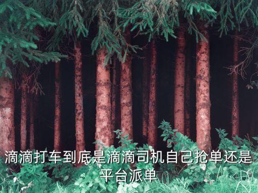 滴滴打車(chē)到底是滴滴司機(jī)自己搶單還是平臺(tái)派單
