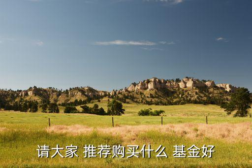 請(qǐng)大家 推薦購(gòu)買(mǎi)什么 基金好