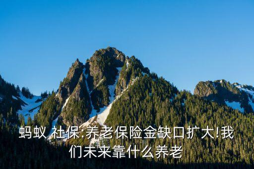 社?；痣p軌制
