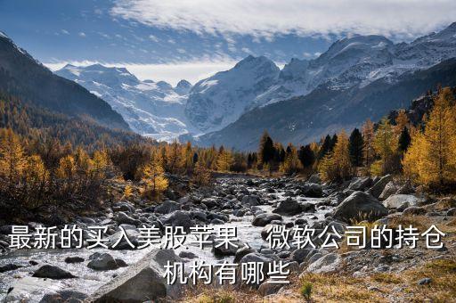 最新的買入美股蘋果、微軟公司的持倉機構(gòu)有哪些
