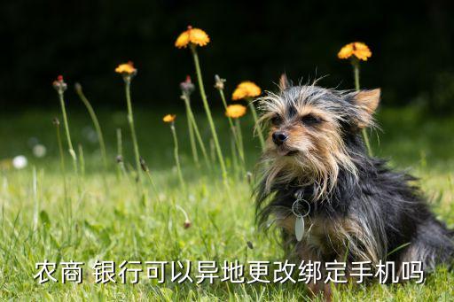 ?？谵r商銀行網(wǎng)上銀行,中國農商手機銀行網(wǎng)上銀行下載