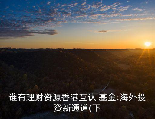 誰有理財(cái)資源香港互認(rèn) 基金:海外投資新通道(下