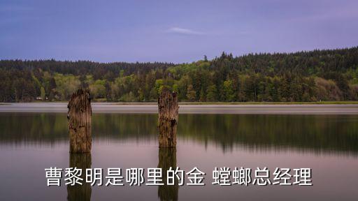 曹黎明是哪里的金 螳螂總經理