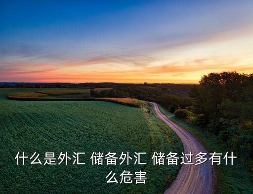 中國(guó)國(guó)際儲(chǔ)備存在的風(fēng)險(xiǎn),我國(guó)國(guó)際儲(chǔ)備存在的問題及對(duì)策