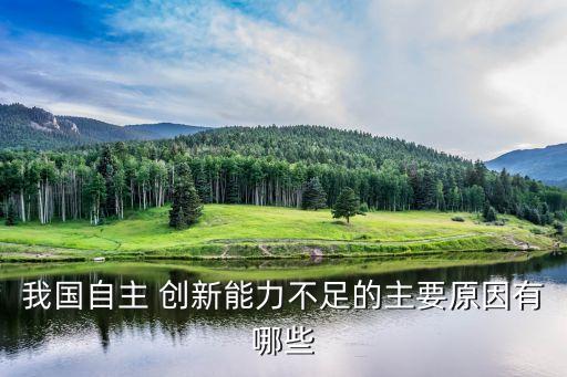 中國(guó)沒(méi)有任何創(chuàng)新精神
