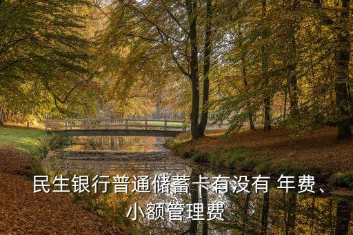  民生銀行普通儲(chǔ)蓄卡有沒有 年費(fèi)、小額管理費(fèi)