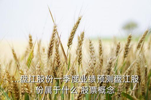 ...盤江股份一季度業(yè)績(jī)預(yù)測(cè)盤江股份屬于什么 股票概念