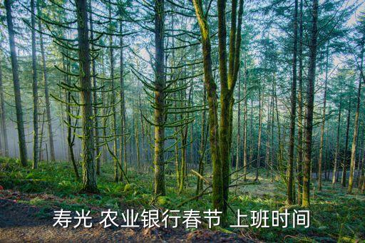 壽光 農業(yè)銀行春節(jié) 上班時間